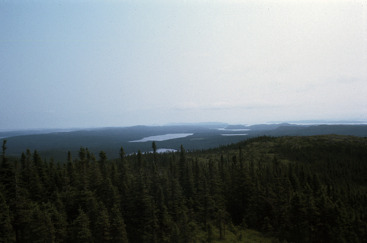 72-07-01, 121 Terra Nova Park North East, New Foundland, Ca