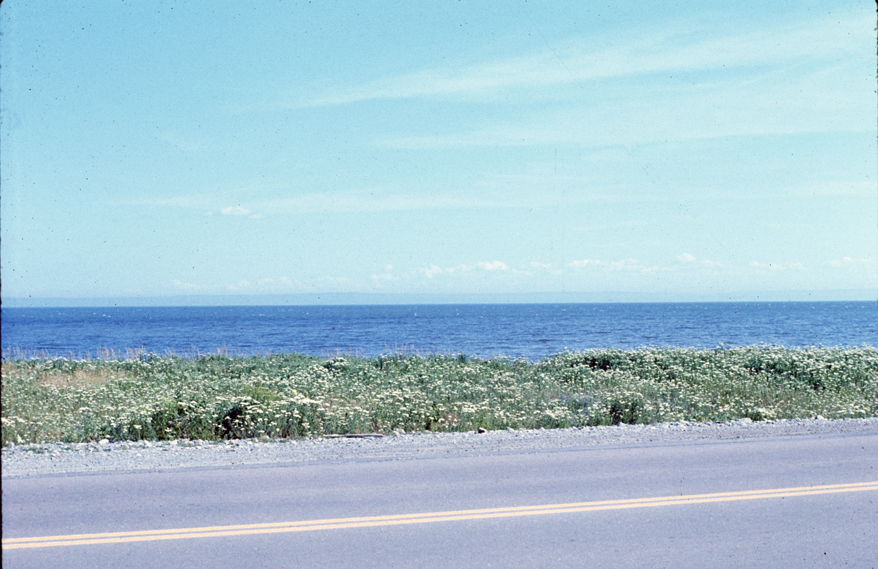72-08-01, 015, Fundy Bay, High Tide, New Brunswick, Ca