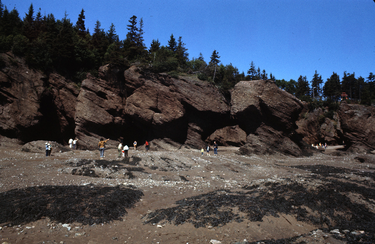 72-08-01, 026, Fundy Bay, Hope Well Cape, the Rocks, NB, Ca