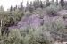 72-08-01, 152 Precambrian Shield, Ontario, Ca