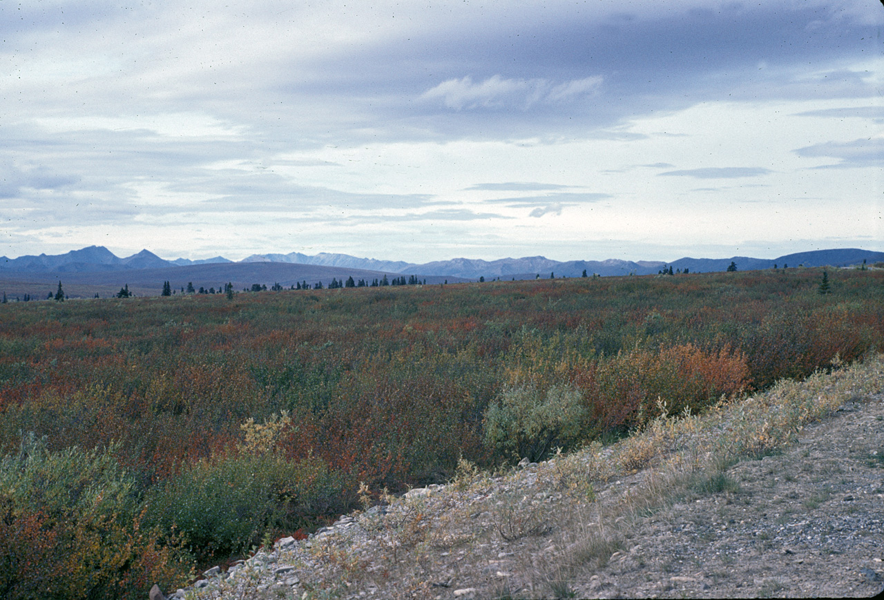 72-09-01, 077, Mt McKinley Park, Alaska