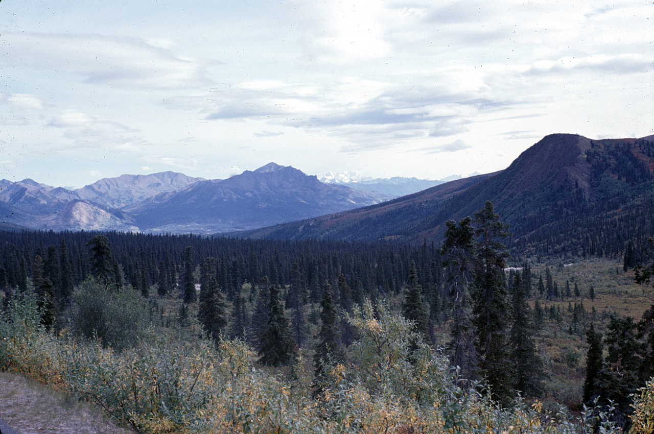 72-09-01, 078, Mt McKinley Park, Alaska