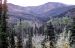 72-09-01, 080, Permafrost Forest, Mt McKinley Park, Alaska