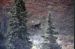 72-09-01, 083, Moose, Mt McKinley Park, Alaska