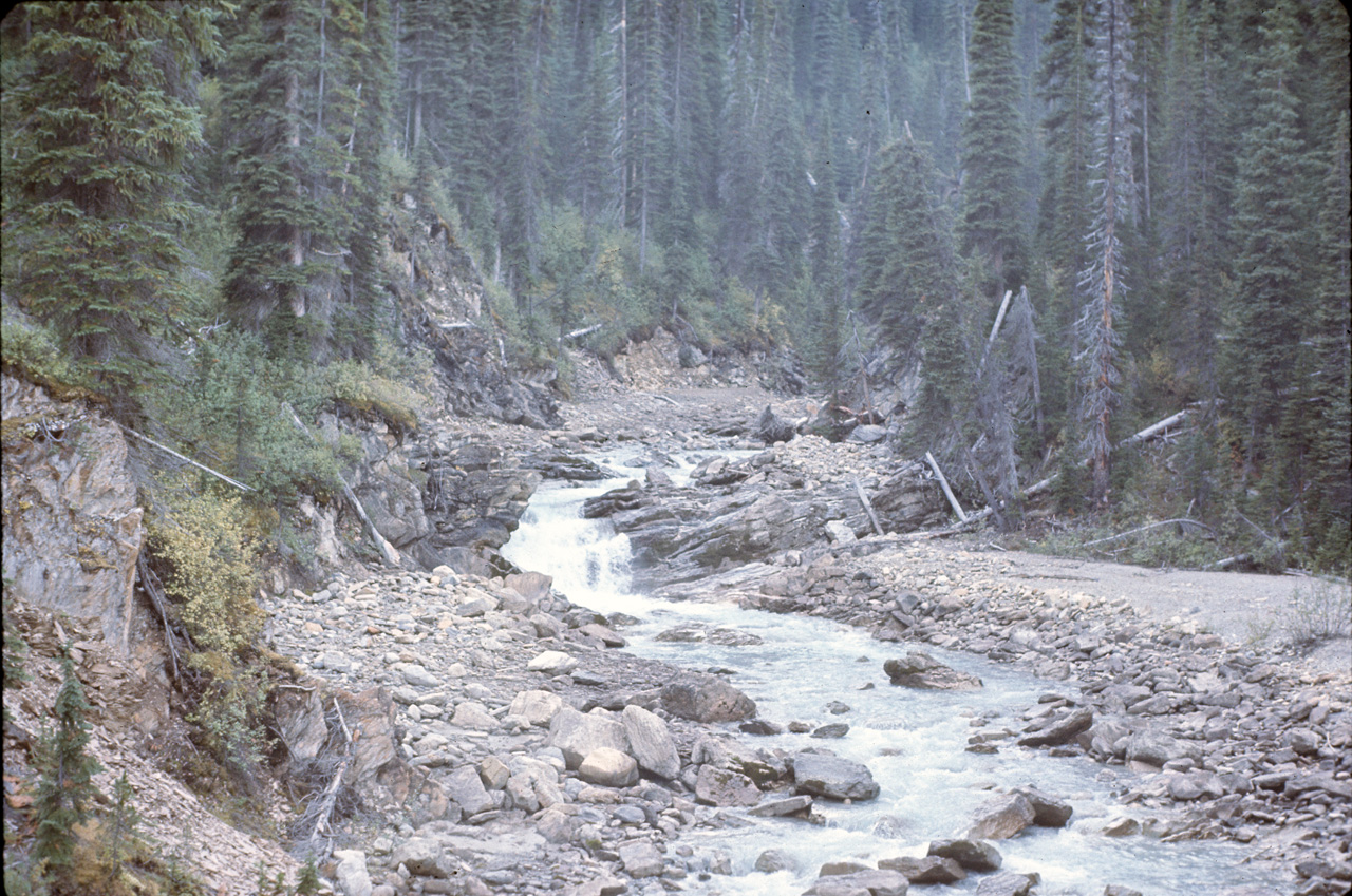 72-09-15, 235, Yoho Park, Tail up to Glacier, BC, Ca
