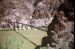 74-06-04, 39, Grand Canyon S