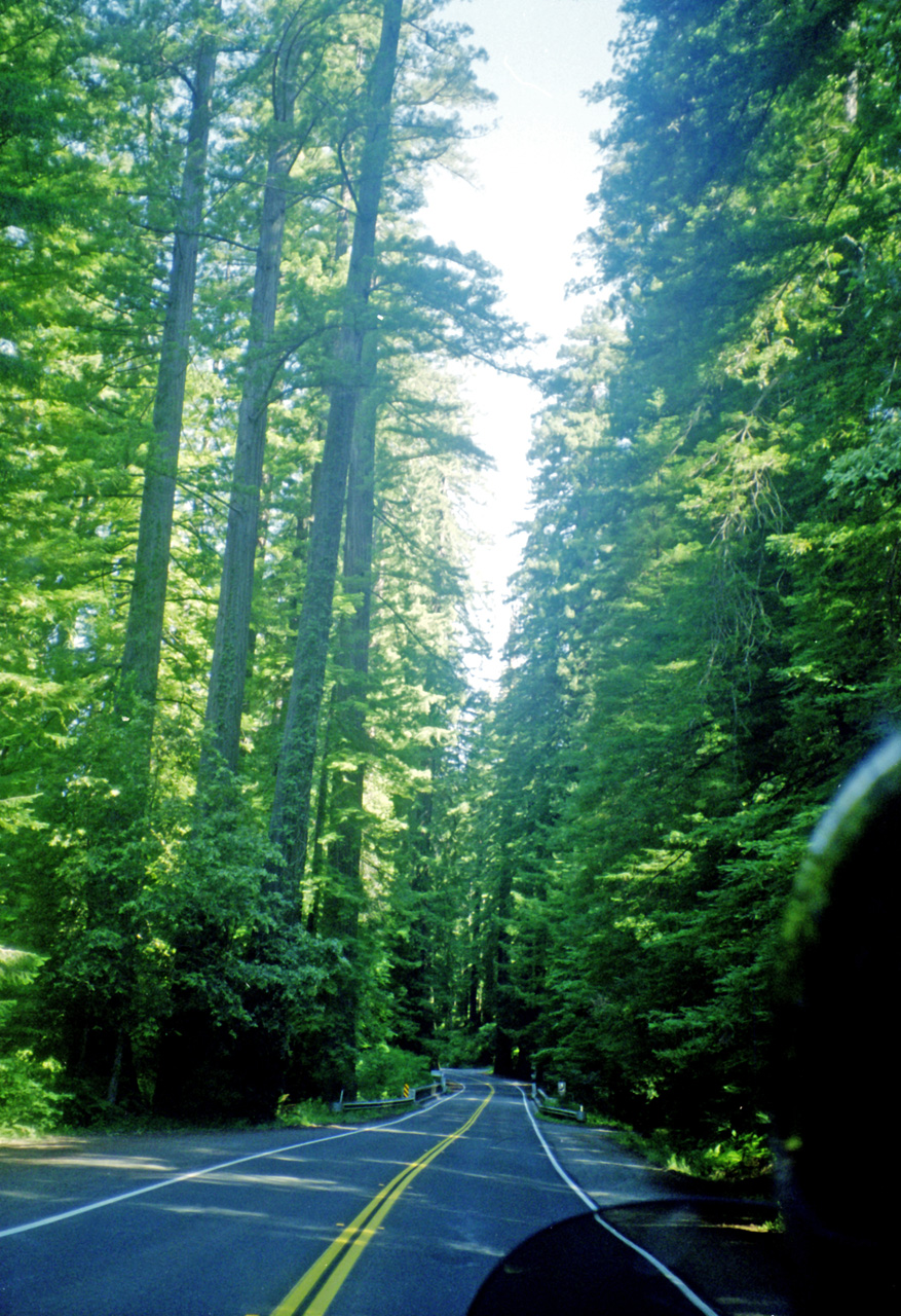 98-07-04, 08, Redwood's, Calif