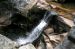01-08-19, 031, Basen park in Maine