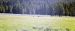 04-07-14, 04, Yellowstone National Park, WY