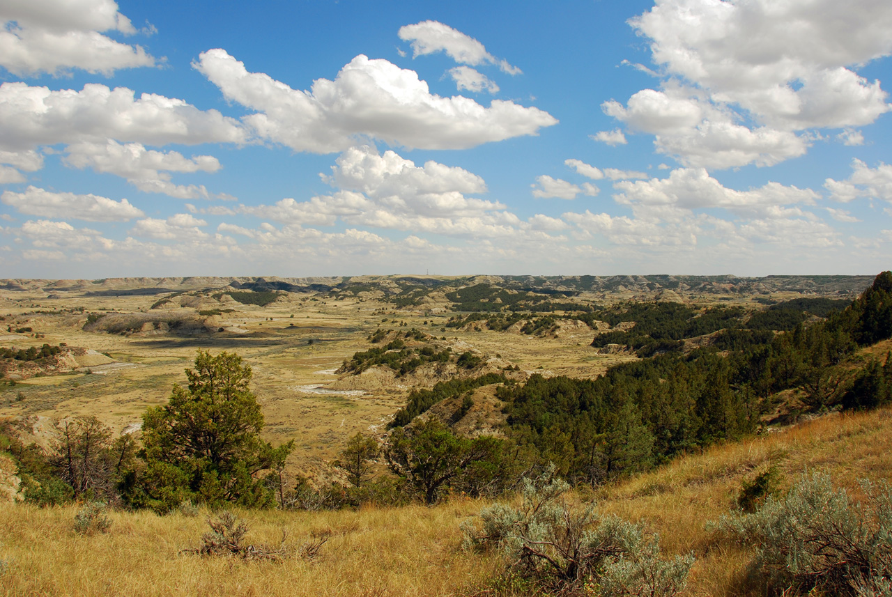 2008-07-17, 206, Theodore Roosevelt National Park, South, North Datoka