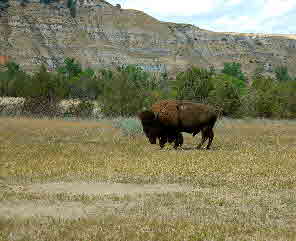 2008-07-17, 217, Theodore Roosevelt National Park, South, North Datoka