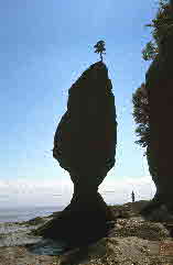 72-08-01, 033, Fundy Bay, Hope Well Cape, the Rocks, NB, Ca1